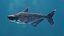 Mekong Giant Catfish