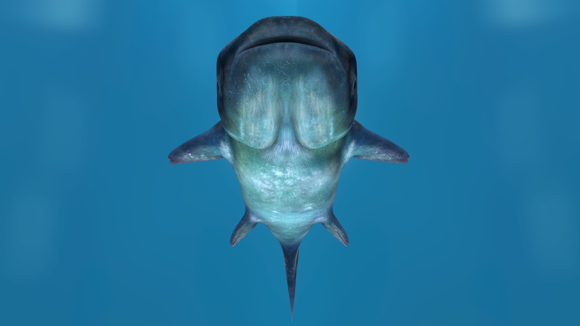 3D Mekong Giant Catfish https://p.turbosquid.com/ts-thumb/p8/odAs4W/s9/mekonggiantcatfish3dmodel15/jpg/1687983841/1920x1080/fit_q87/676e06a6ad87d83e507b1e70eb642d49721601ee/mekonggiantcatfish3dmodel15.jpg