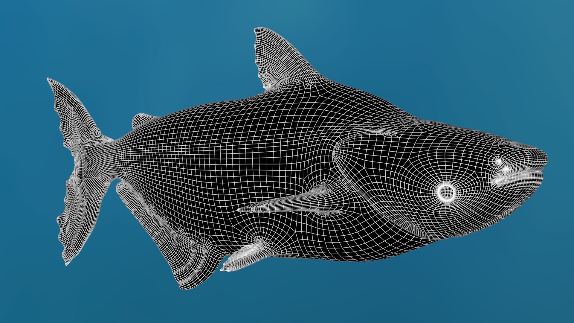 3D Mekong Giant Catfish https://p.turbosquid.com/ts-thumb/p8/odAs4W/vH/mekonggiantcatfish3dmodelwireframe02/jpg/1687983842/1920x1080/fit_q87/b57b26c76c48e158a2c2e58c6ca25d203ff577b3/mekonggiantcatfish3dmodelwireframe02.jpg