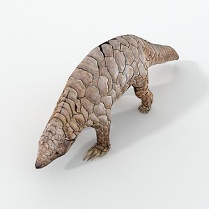 Pangolin