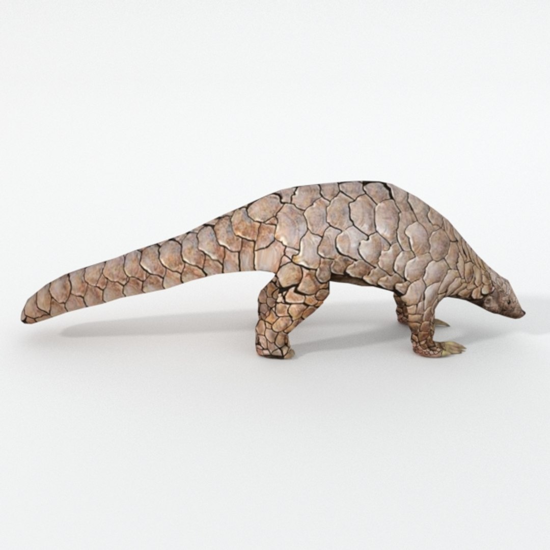 3D Pangolin - TurboSquid 1394962