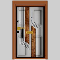 Luxury Modern Exterior Door