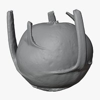 Kohlrabi German Turnip 02 - For 3D Print