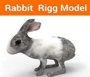 3D rabbit rigged model