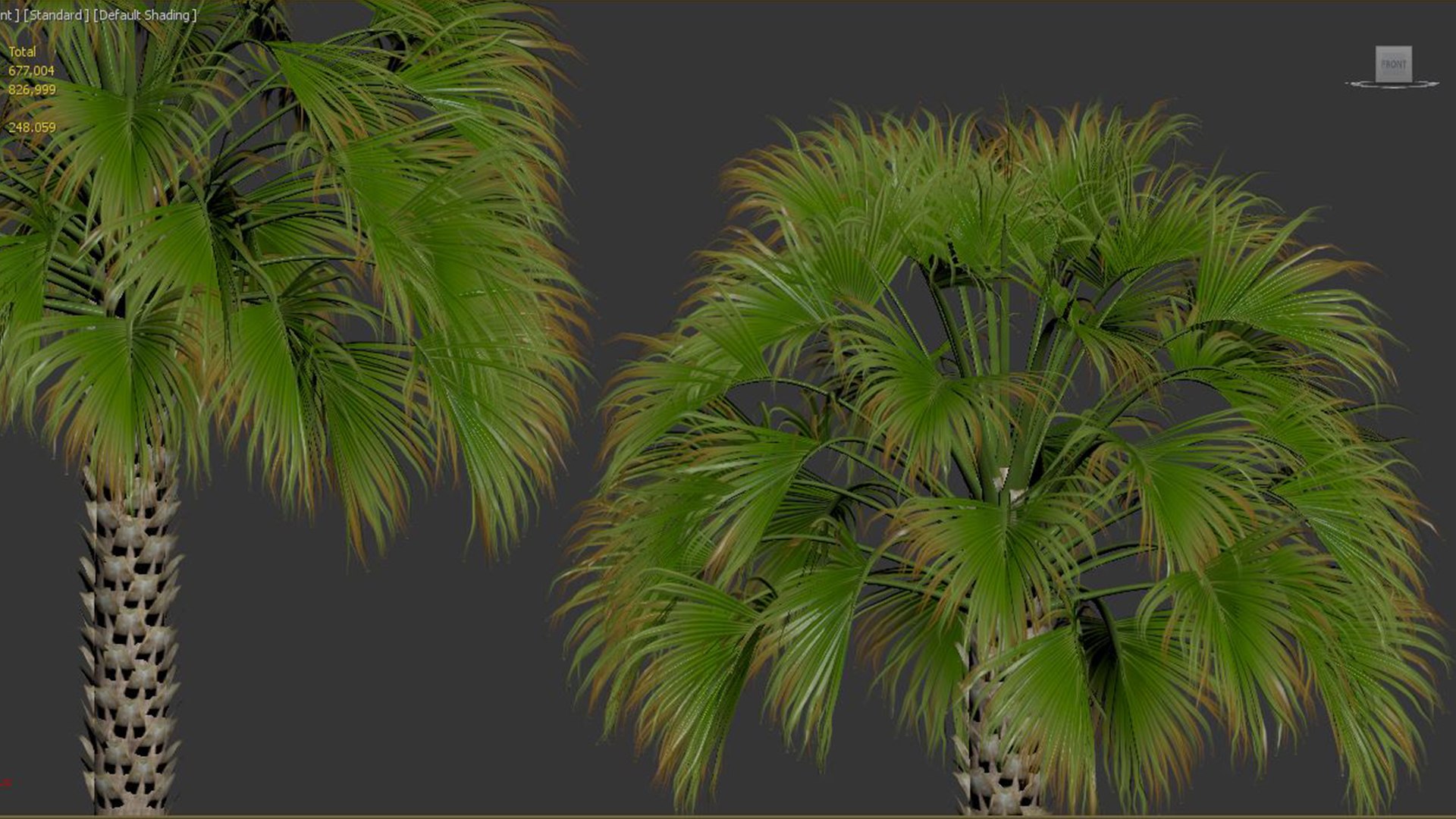 Sabal Palmetto Cabbage Palm 3D model https://p.turbosquid.com/ts-thumb/p8/vbxTdR/ce/05/jpg/1662458809/1920x1080/fit_q87/d704bdf8472ac1ebd6b76e8cc6e0a6be88ef0202/05.jpg