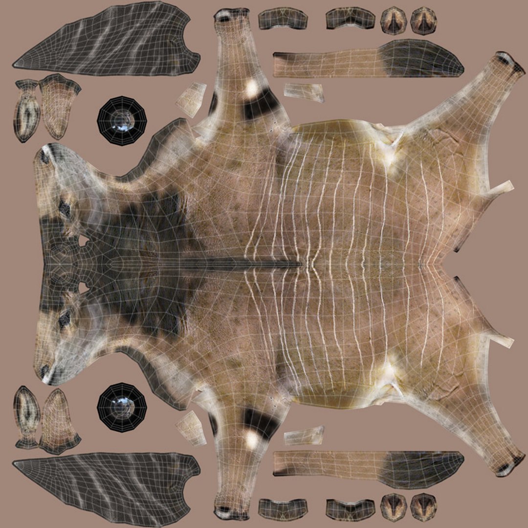 Common Eland Model - TurboSquid 1387968