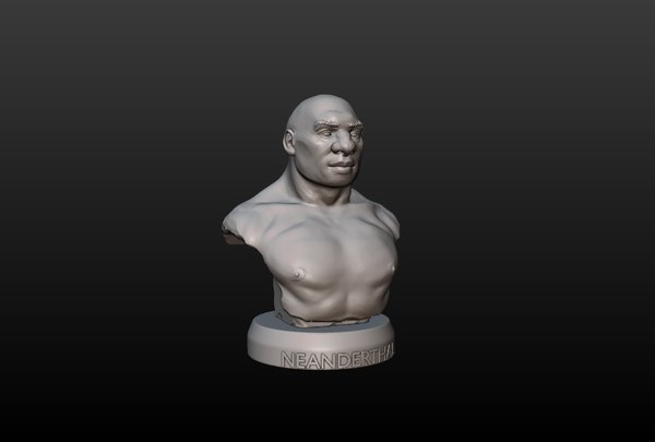 3D bust neanderthal - TurboSquid 1194001