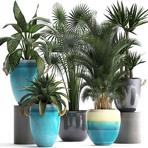 ornamental plants model