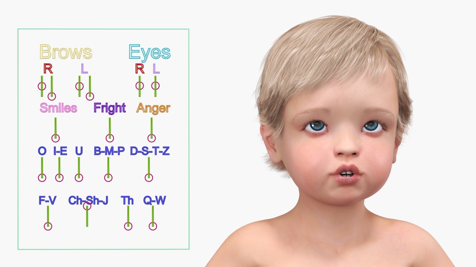 3D Boy Aged 1 Year in Diaper Rigged https://p.turbosquid.com/ts-thumb/p9/F54ejJ/Za/boyaged1yearindiaperrigged3dsmodel003/jpg/1723868278/1920x1080/fit_q87/6542d3449f98ab490bfc4289027034f7d44e2bf8/boyaged1yearindiaperrigged3dsmodel003.jpg