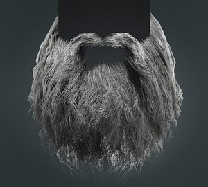 3D Beard RealTime 21 Version 1 model