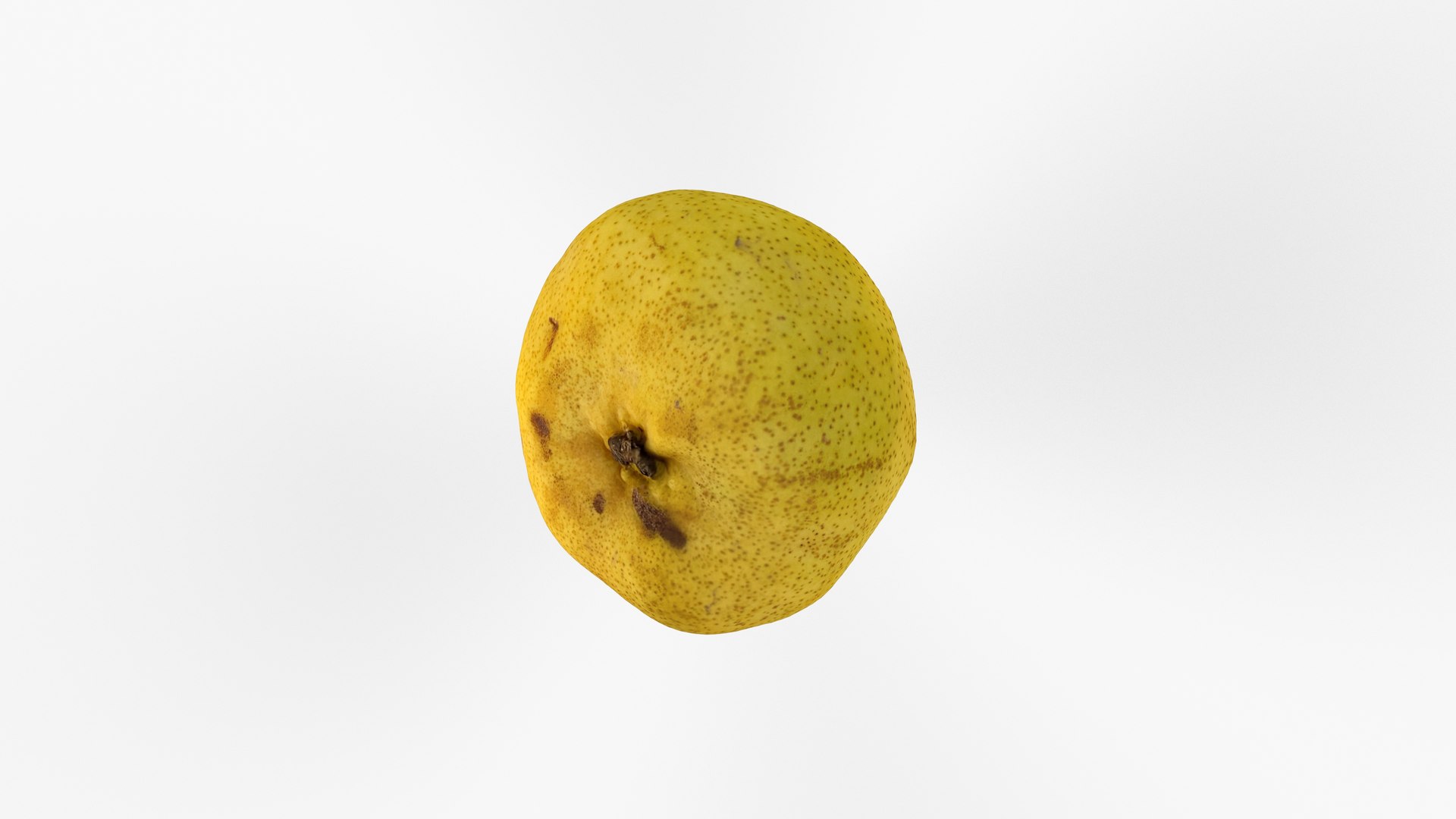 3D model Photorealistic 3D scan of pear https://p.turbosquid.com/ts-thumb/p9/aOR5xV/6m/view_110001/jpg/1747220550/1920x1080/fit_q87/5bf7342b5f5446c58c00889ea1ffae964a083530/view_110001.jpg