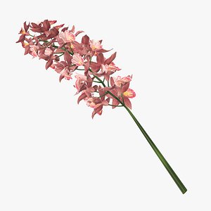 3D orchid flower branch