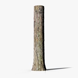 3D Bald cypress PBR tiled texture 8K model