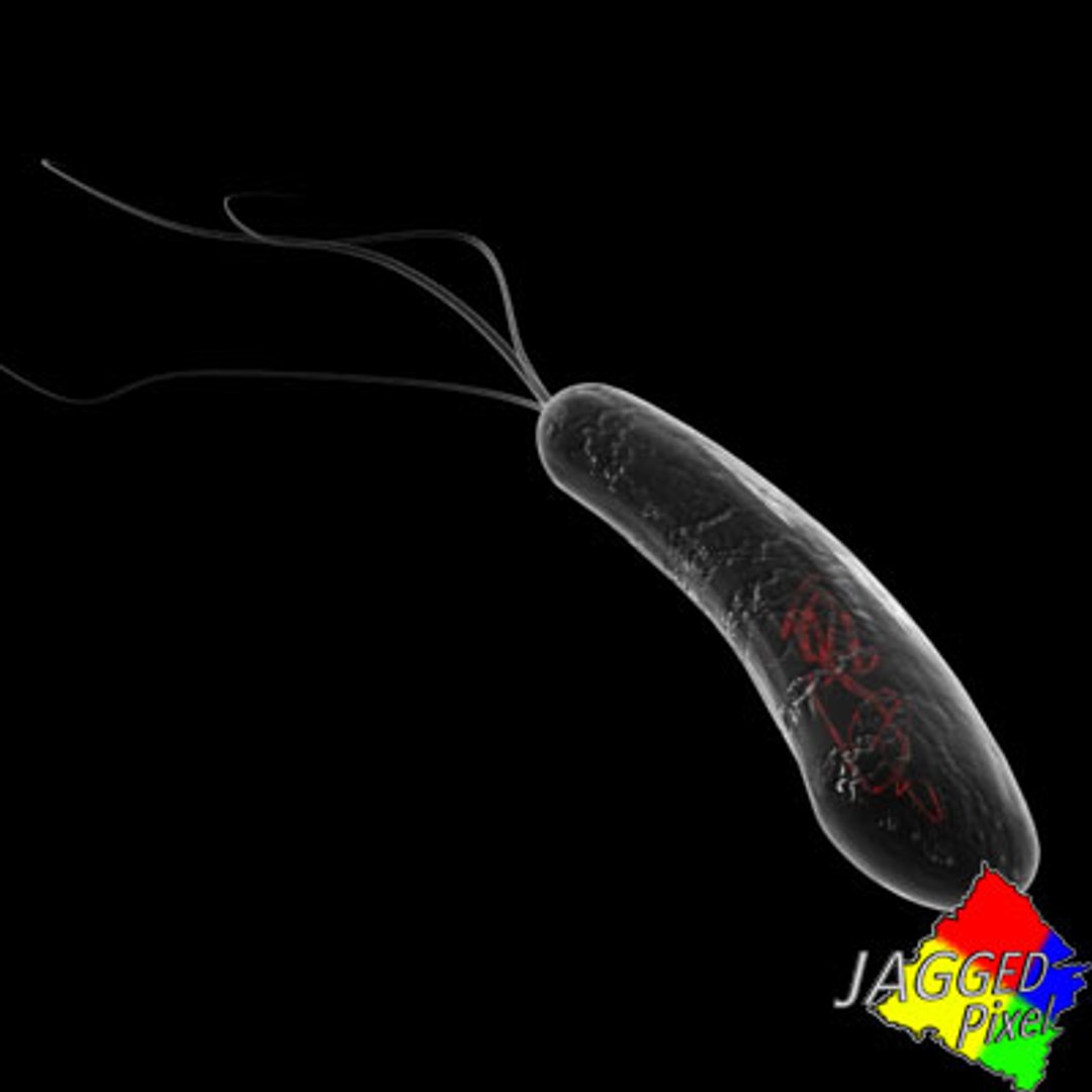 3ds max micro 100 objects cells https://p.turbosquid.com/ts-thumb/p9/r8BM6O/I5nHoL5h/8/jpg/1188685110/1920x1080/fit_q87/44dcc64b197d204409e2e4cbdddffb98eb9fb24d/8.jpg