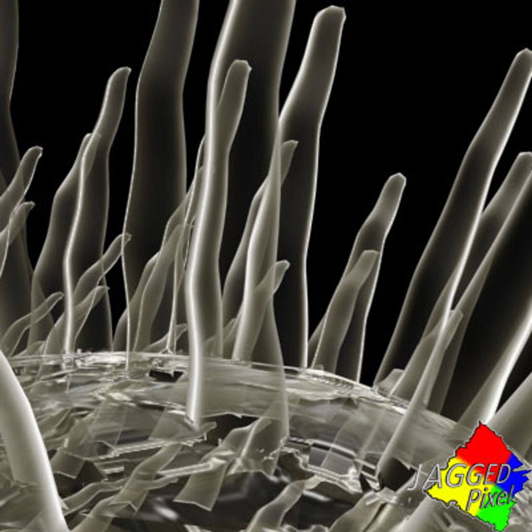 3ds max micro 100 objects cells https://p.turbosquid.com/ts-thumb/p9/r8BM6O/MAnhYCyJ/22/jpg/1188685627/1920x1080/fit_q87/f917ff1b7afa8cc93bc33778e4164b5b157d9a10/22.jpg