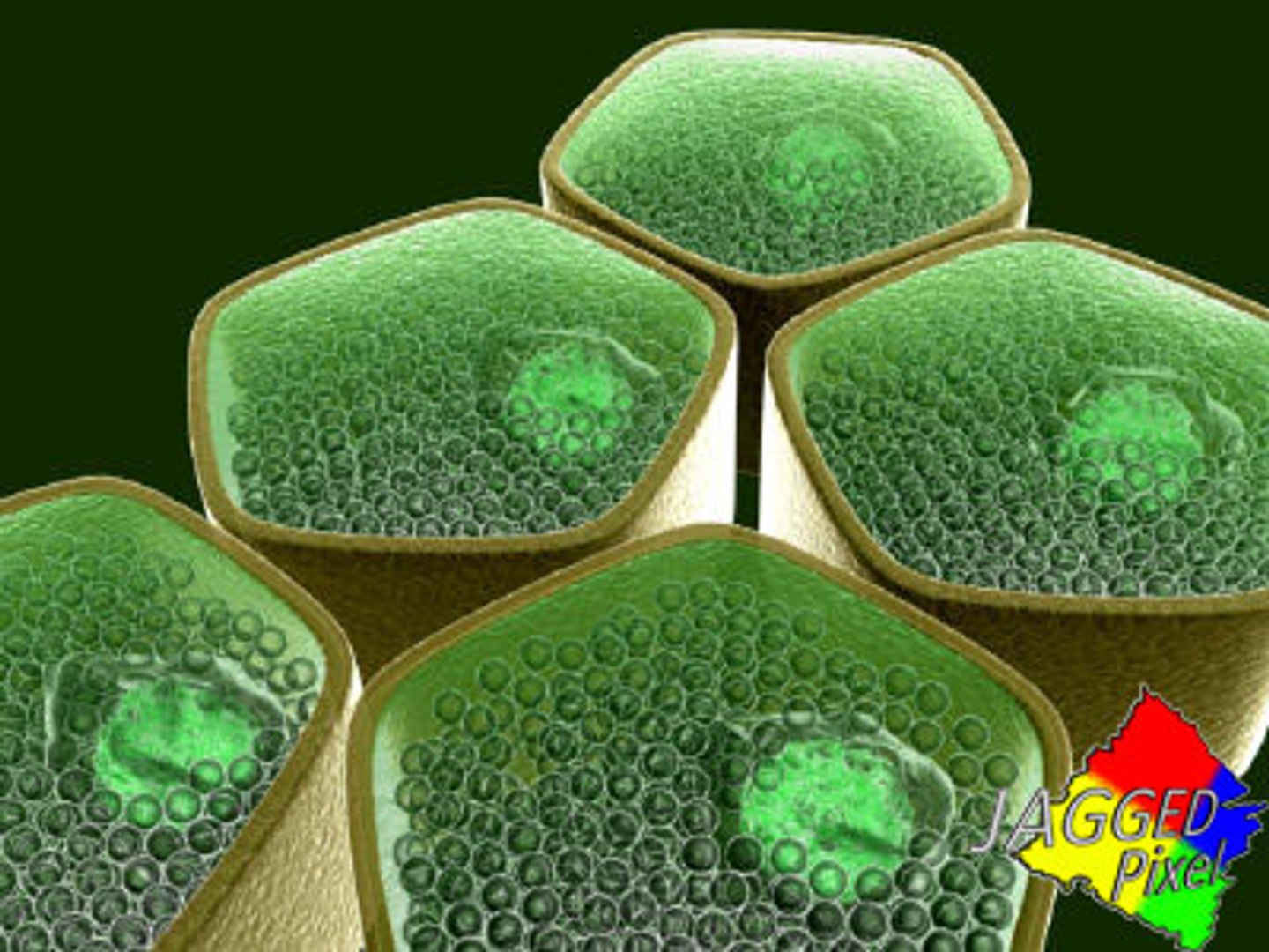 3ds max micro 100 objects cells https://p.turbosquid.com/ts-thumb/p9/r8BM6O/OgMM9z7d/6_jpg652278d22afc42a8a49/jpg/1188685326/1920x1080/fit_q87/5089c86e812e7db0096b613440bd9617b5be0a3e/6_jpg652278d22afc42a8a49.jpg