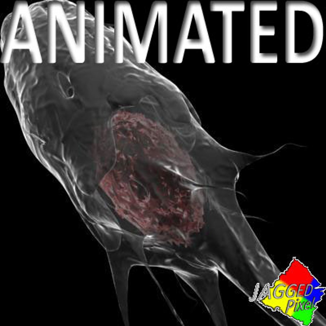 3ds max micro 100 objects cells https://p.turbosquid.com/ts-thumb/p9/r8BM6O/SUWDRaVZ/28/jpg/1188685655/1920x1080/fit_q87/d928e2675817f43c018857adef3a949d221139c8/28.jpg