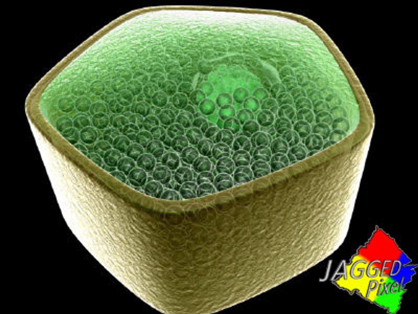 3ds max micro 100 objects cells https://p.turbosquid.com/ts-thumb/p9/r8BM6O/WAIW2Ucn/1_jpg5041eb1805684686824/jpg/1188685274/1920x1080/fit_q87/e40d3e47f7491d09b8834e6e173db78d2efb747b/1_jpg5041eb1805684686824.jpg