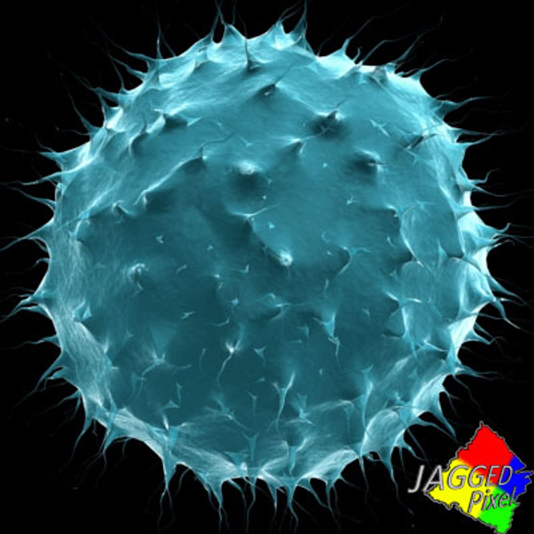 3ds max micro 100 objects cells https://p.turbosquid.com/ts-thumb/p9/r8BM6O/dLh6T94E/116/jpg/1188685568/1920x1080/fit_q87/ffe8f51ac3454a8fa7612dc6840dc4b24e078f9f/116.jpg