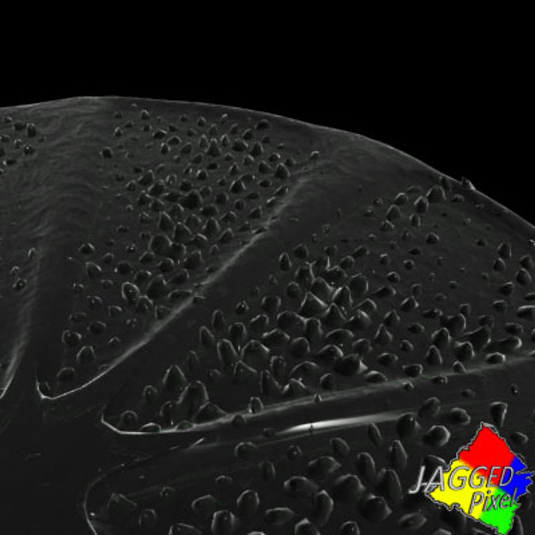 3ds max micro 100 objects cells https://p.turbosquid.com/ts-thumb/p9/r8BM6O/ti5PcMqf/24/jpg/1188685635/1920x1080/fit_q87/9a8e6dbfe71a298a825f238b1da46d55784d2842/24.jpg