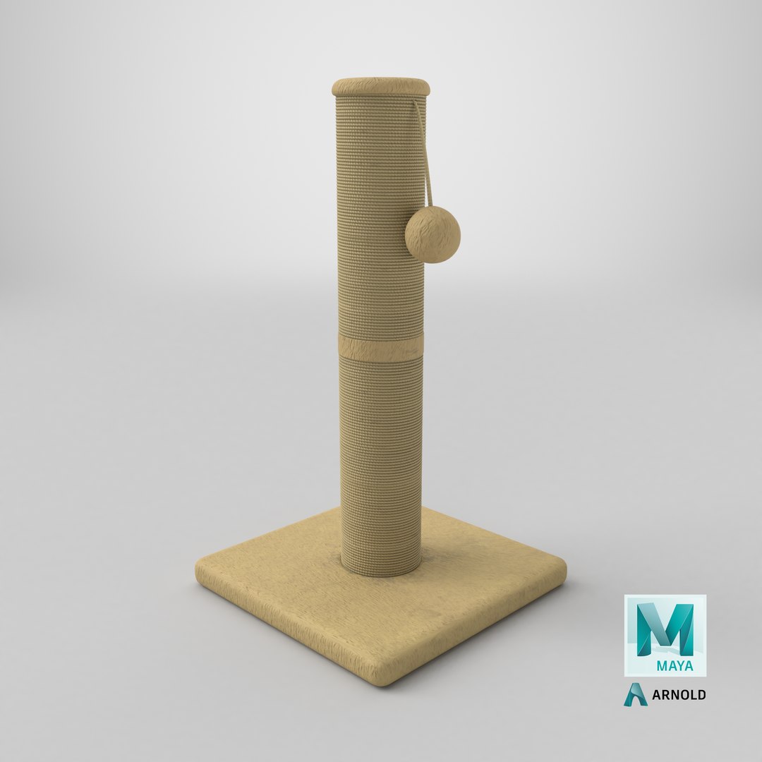 3D Cat House 03 https://p.turbosquid.com/ts-thumb/p9/sfUjW5/k6/stemcell_maya_arnold_render/png/1771250376/1920x1080/fit_q87/b6dec9eddbd34faf807cf465578a7c31a3cfe231/stemcell_maya_arnold_render.jpg
