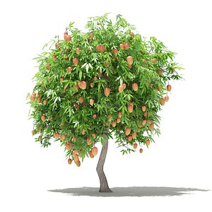 3D mango tree fruits 2 model
