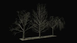 3D Bare trees R3 Low-poly