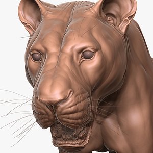3D Detailed African Lion Zbrush Sculpt