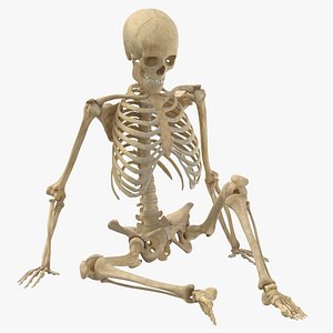 3D Human Female Skeleton Pose 12