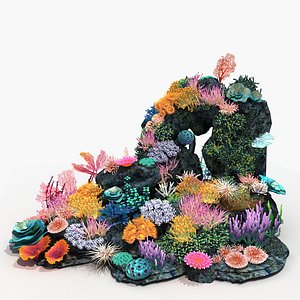 Coral 03