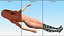Caucasian Naked Woman T-pose