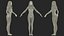 Caucasian Naked Woman T-pose