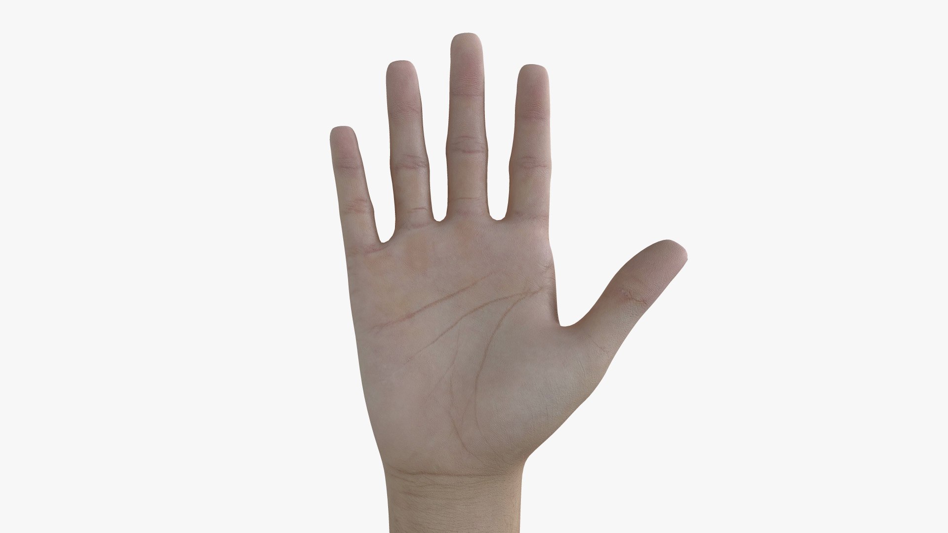 HND-016 Counting Animation 3D model https://p.turbosquid.com/ts-thumb/pA/CkcST4/9q/ts1/jpg/1670431105/1920x1080/fit_q87/2c028e46e4d3e2b3f028dbe223626fddf8deef0f/ts1.jpg