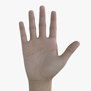 HND-016 Counting Animation