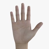 HND-016 Counting Animation