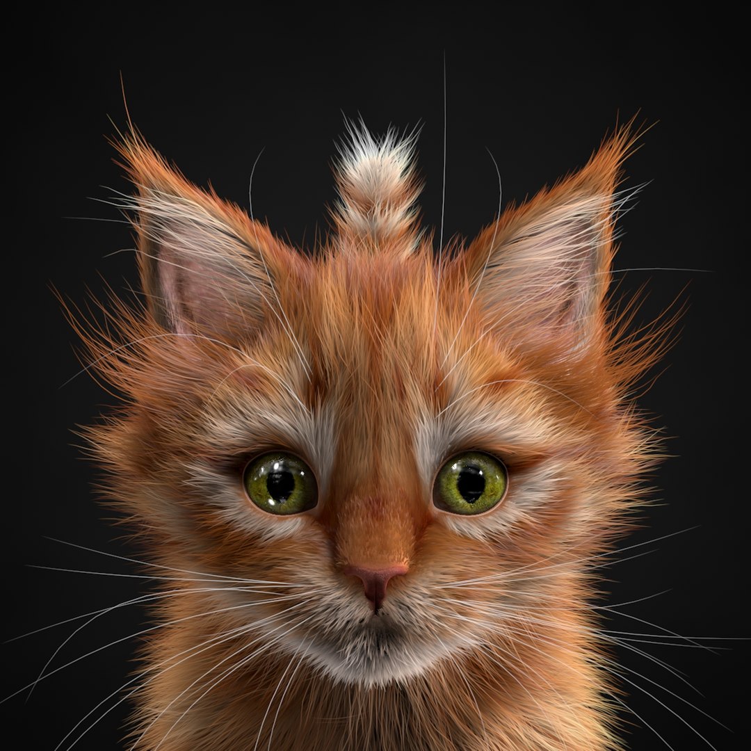 3ds max kitten red https://p.turbosquid.com/ts-thumb/pA/QcJsSK/8a7ou2k5/7/jpg/1426602906/1920x1080/fit_q87/4467056e53bad4f542f126f9fa44166dd57a5880/7.jpg