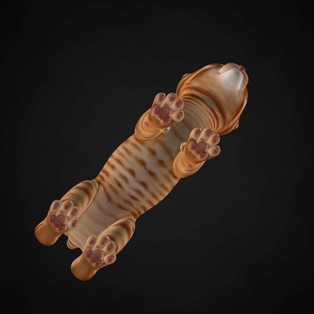3ds max kitten red https://p.turbosquid.com/ts-thumb/pA/QcJsSK/D7Me3K1M/31/jpg/1426602906/1920x1080/fit_q87/e920c2dd1c1ad6161edfea9f903d23b520388dc1/31.jpg