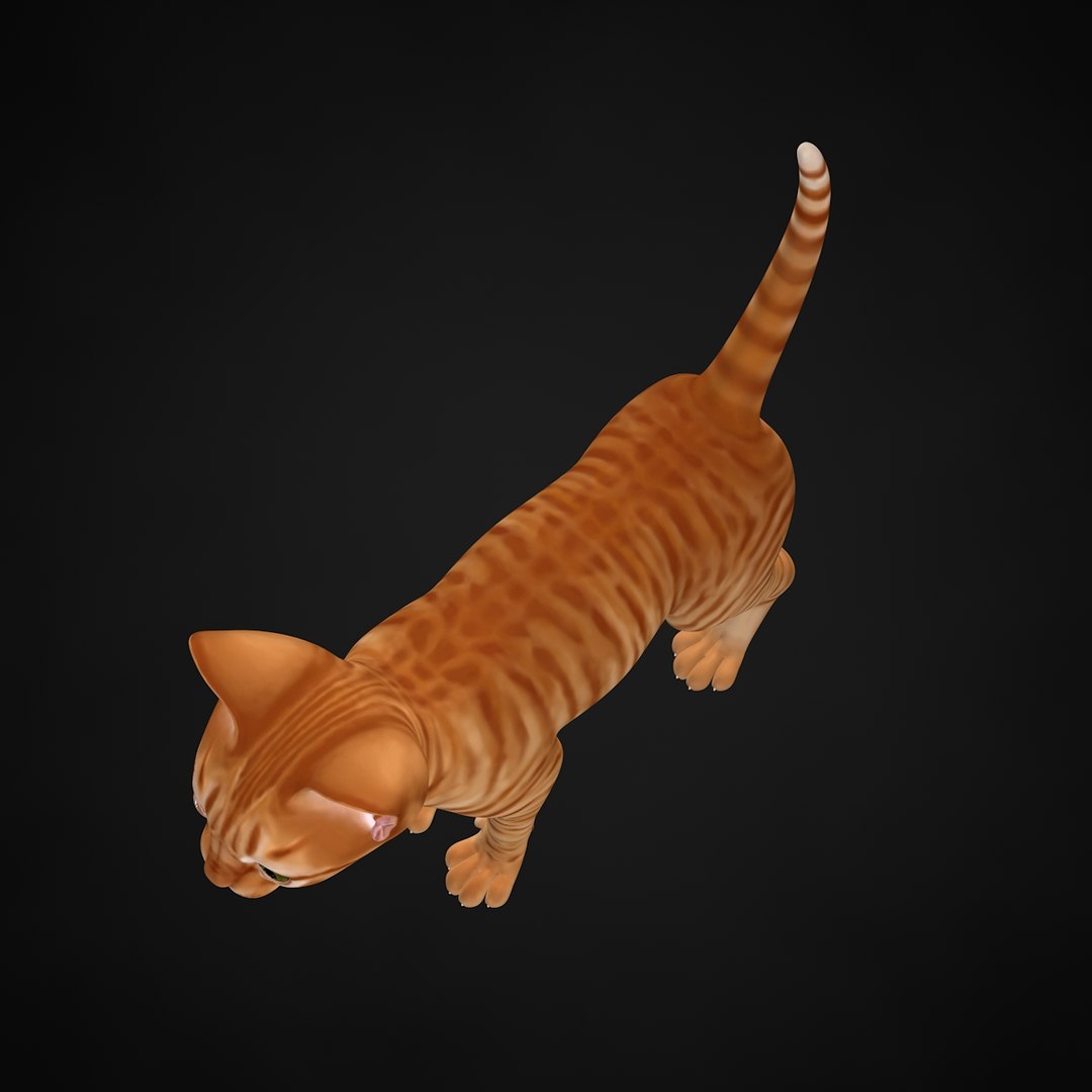 3ds max kitten red https://p.turbosquid.com/ts-thumb/pA/QcJsSK/D907WBk8/30/jpg/1426602906/1920x1080/fit_q87/22ea288a059b5944372ed5bdaa08b65656f29b7b/30.jpg