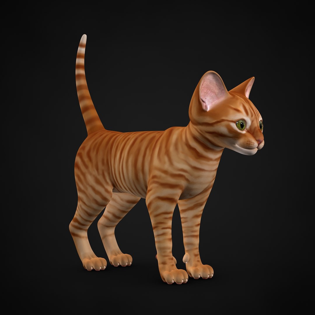 3ds max kitten red https://p.turbosquid.com/ts-thumb/pA/QcJsSK/Gn0VBhrO/28/jpg/1426602906/1920x1080/fit_q87/a19df3c3f28ad77216a916d73608cf1fa0842786/28.jpg