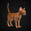 Kitten Red