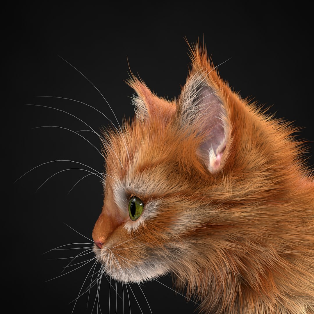 3ds max kitten red https://p.turbosquid.com/ts-thumb/pA/QcJsSK/IeTiulZ4/5/jpg/1426602906/1920x1080/fit_q87/8813e942ac46feb43fce8a4c94ae4ffe08f39127/5.jpg