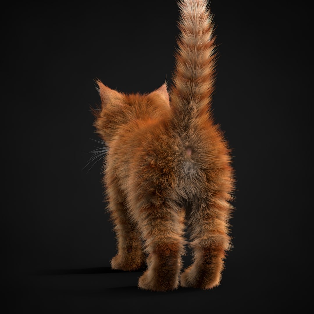 3ds max kitten red https://p.turbosquid.com/ts-thumb/pA/QcJsSK/Oi679q8Z/turn0020/jpg/1426602906/1920x1080/fit_q87/82ec639cbe5b45ef59533fc0bb0a83f6dd8ada20/turn0020.jpg