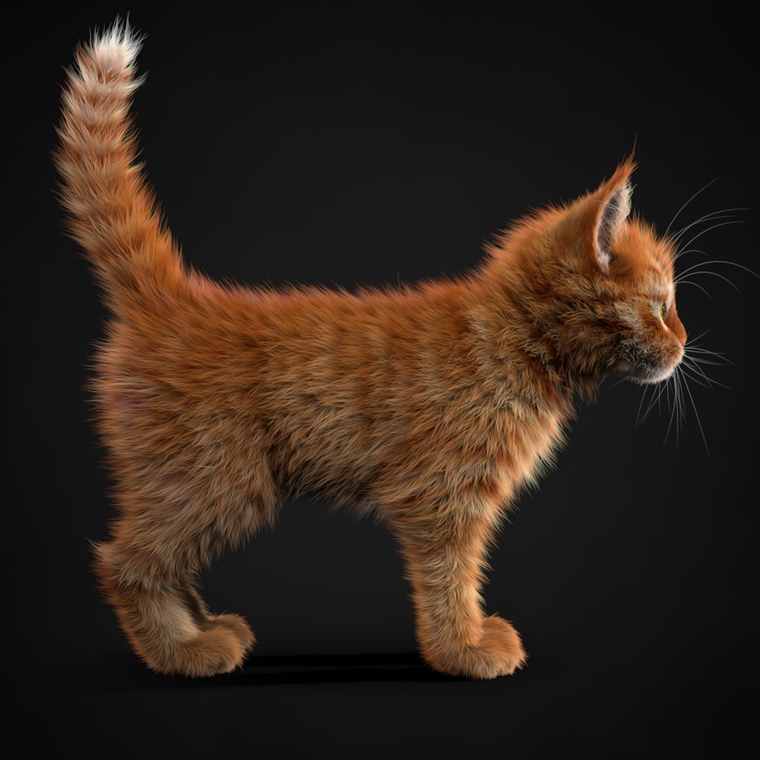 3ds max kitten red https://p.turbosquid.com/ts-thumb/pA/QcJsSK/WrTphds0/turn0009/jpg/1426602906/1920x1080/fit_q87/f2172fa330638dec214775572ef6db02762c8f77/turn0009.jpg