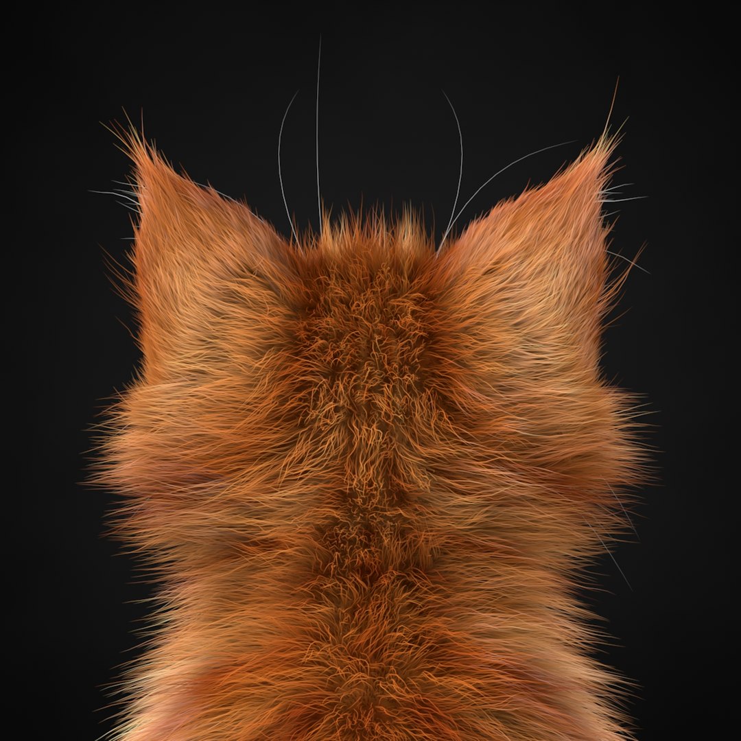 3ds max kitten red https://p.turbosquid.com/ts-thumb/pA/QcJsSK/XJqwWpeY/8/jpg/1426602906/1920x1080/fit_q87/a69d81e6a038ecc4a966642459662f3d3b21c0b6/8.jpg