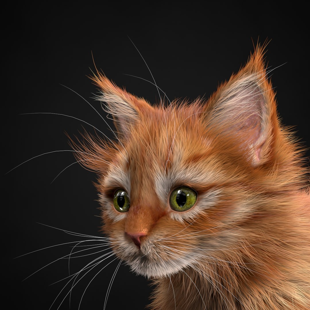 3ds max kitten red https://p.turbosquid.com/ts-thumb/pA/QcJsSK/dqog0daG/6/jpg/1426602906/1920x1080/fit_q87/26284ea0d3e5d8c17e216a2e80c84f1686f2030e/6.jpg