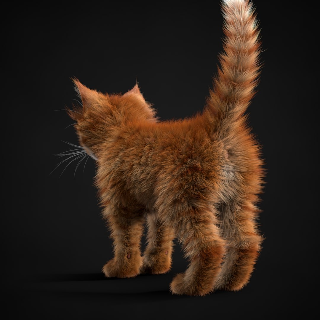 3ds max kitten red https://p.turbosquid.com/ts-thumb/pA/QcJsSK/eYzK8iPw/turn0022/jpg/1426602906/1920x1080/fit_q87/5f7978a89dba91b00c0605c3f433525bdad3924c/turn0022.jpg