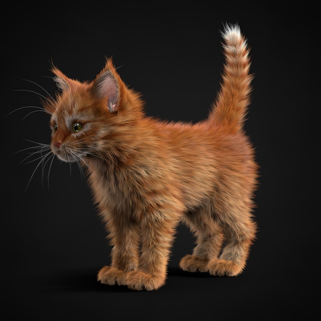 3ds max kitten red https://p.turbosquid.com/ts-thumb/pA/QcJsSK/gclY8ZAZ/turn0032/jpg/1426602906/1920x1080/fit_q87/17ca9d386d10b7ab04f7af473a853fd87ca686cc/turn0032.jpg
