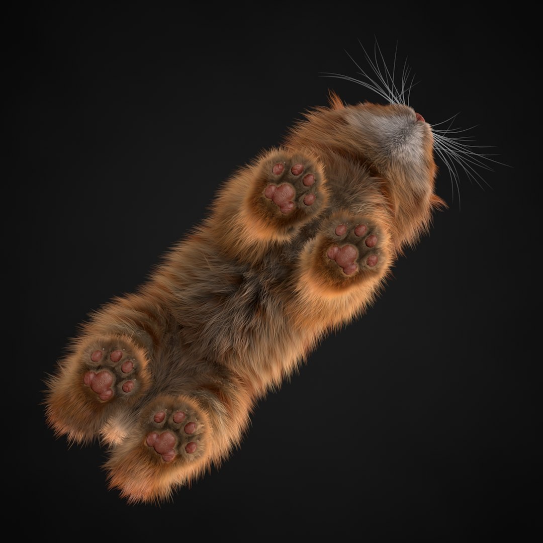 3ds max kitten red https://p.turbosquid.com/ts-thumb/pA/QcJsSK/nvxG6CkD/1/jpg/1426602905/1920x1080/fit_q87/3bec6a74ef68a5835c09fb4bdb122c932635468b/1.jpg