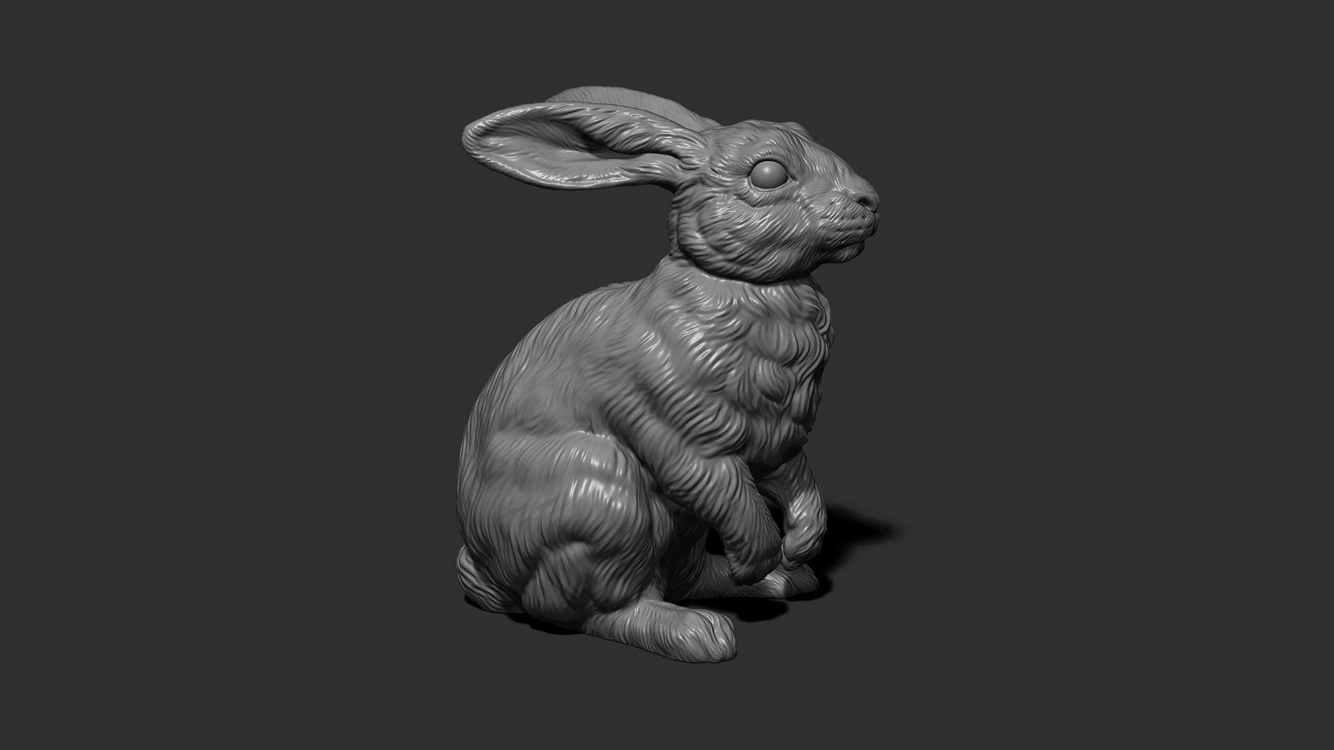 Rabbit Sitting 3D Model - TurboSquid 2010555