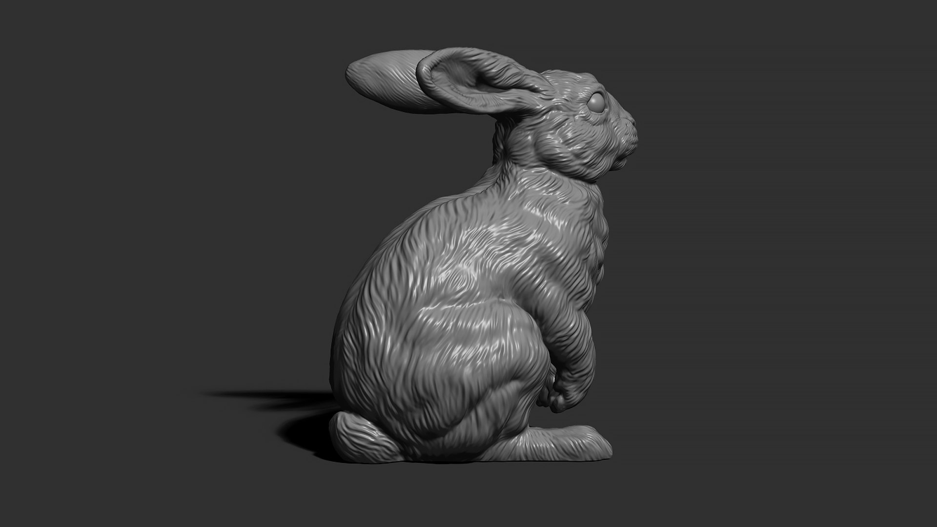 Rabbit Sitting 3D Model - TurboSquid 2010555